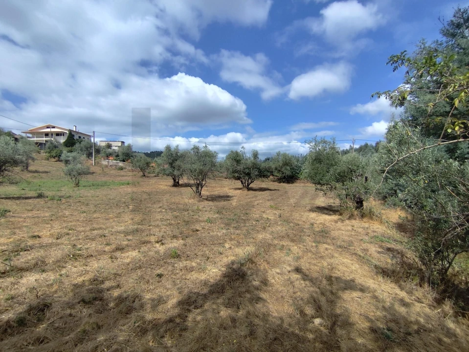 Terreno para Venda em Serpins Foto 21