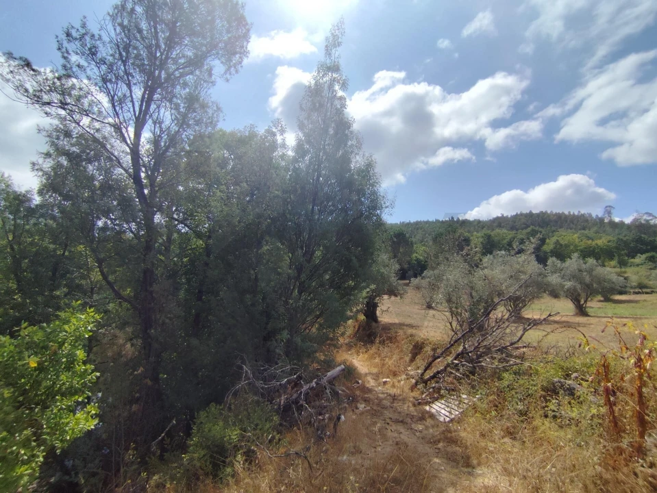 Terreno para Venda em Serpins Foto 19