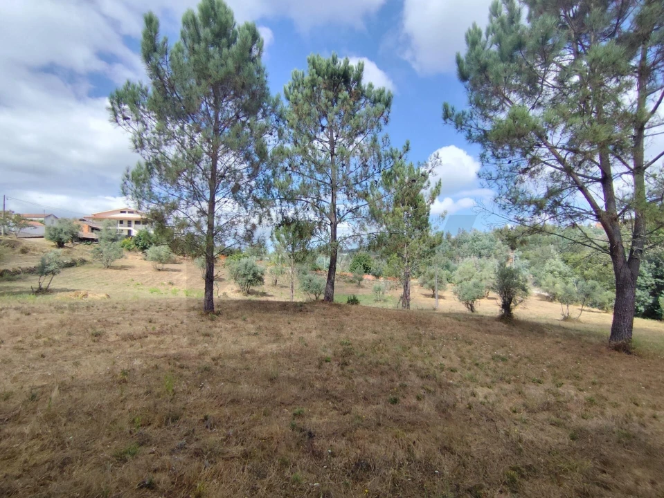 Terreno para Venda em Serpins Foto 22