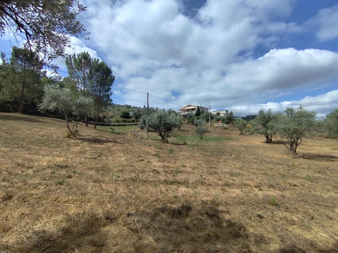 Terreno para Venda em Serpins Foto 20