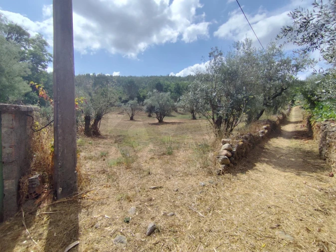 Terreno para Venda em Serpins Foto 17
