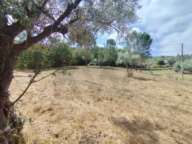 Terreno para Venda em Serpins Foto 2