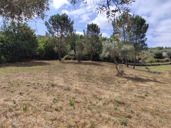 Terreno para Venda em Serpins Foto 5