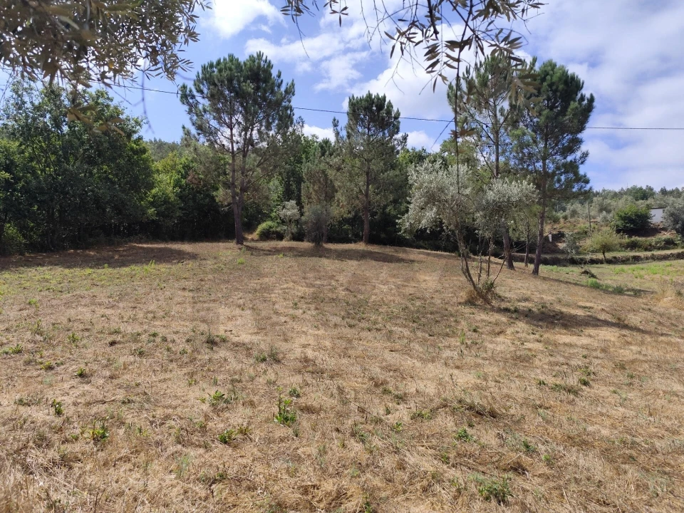 Terreno para Venda em Serpins Foto 5