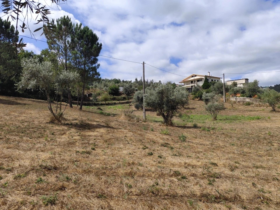 Terreno para Venda em Serpins Foto 1