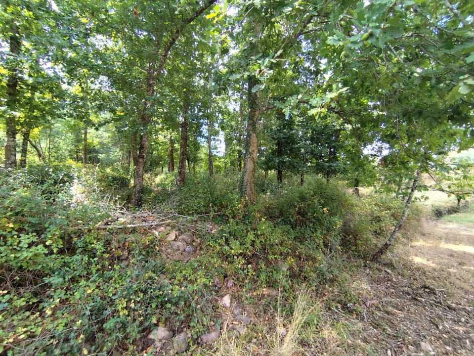 Terreno para Venda em Serpins Foto 10