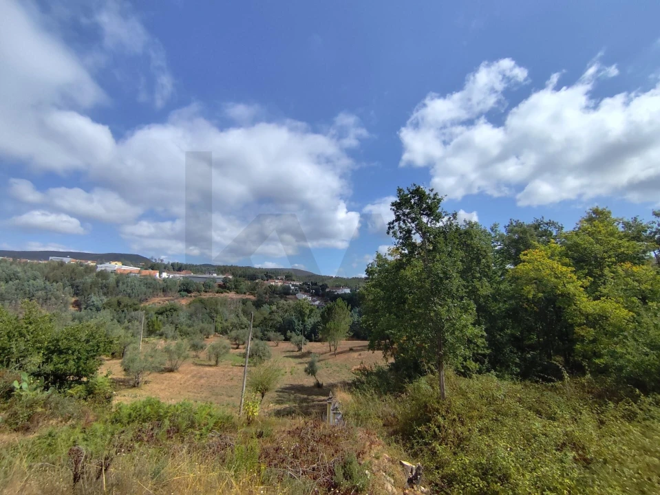 Terreno para Venda em Serpins Foto 3