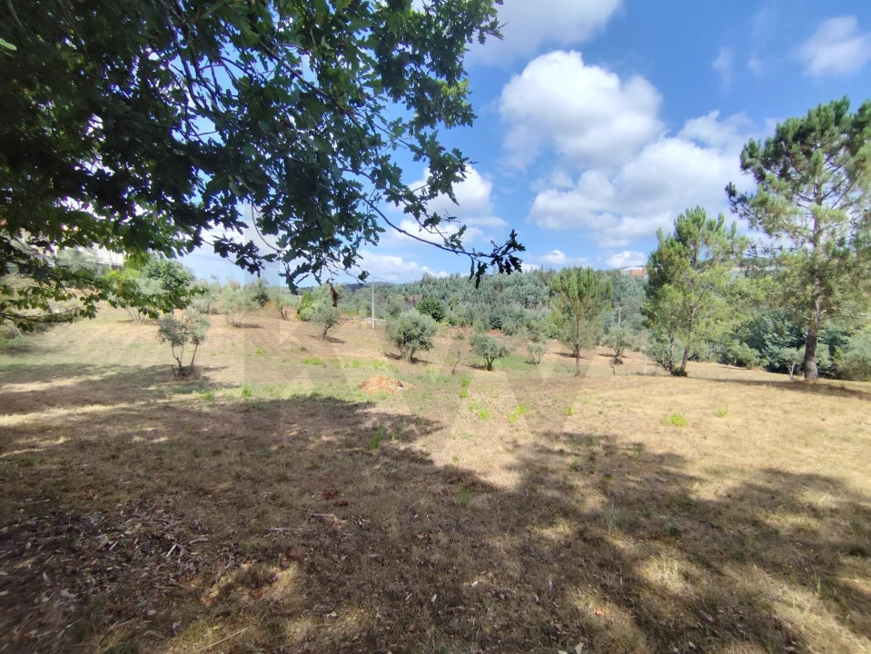 Terreno para Venda em Serpins Foto 11
