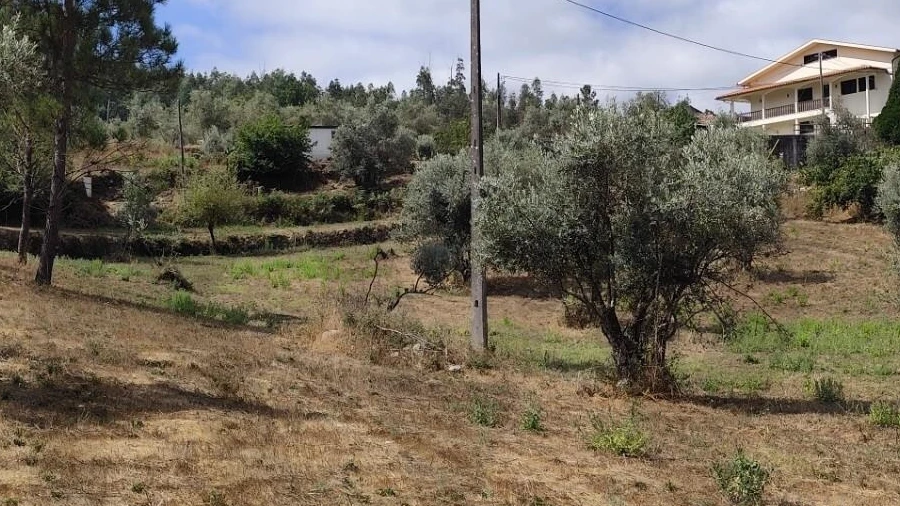 Terreno para Venda em Serpins