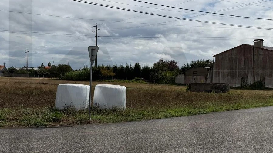 Terreno para Venda em Aradas