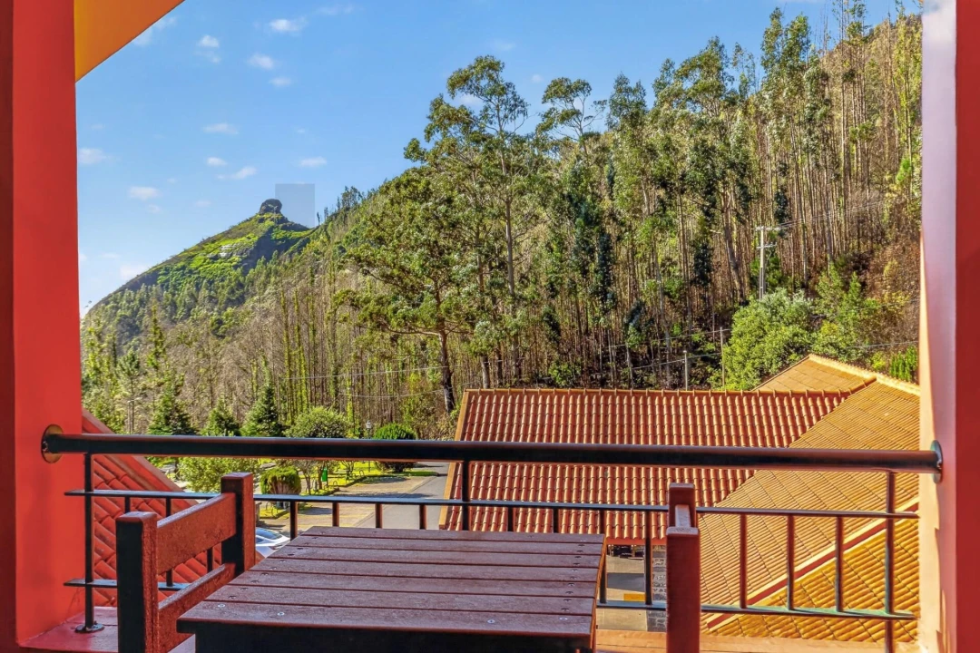 Negócio para Venda em Serra de Agua Foto 5