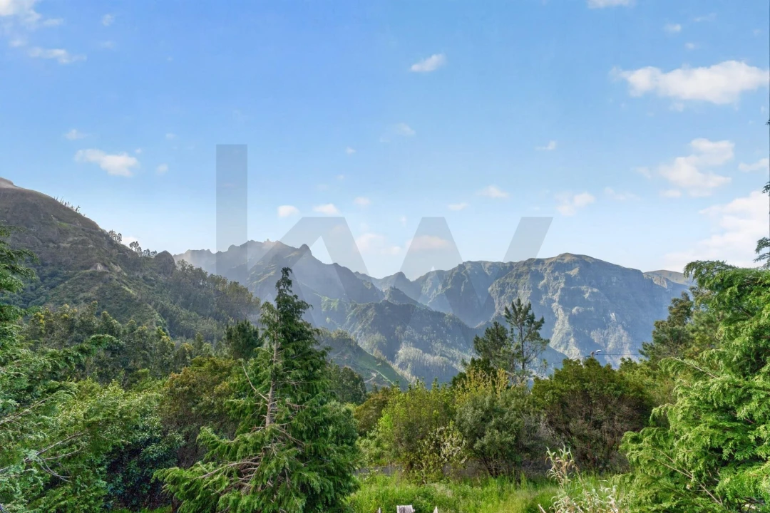 Negócio para Venda em Serra de Agua Foto 11
