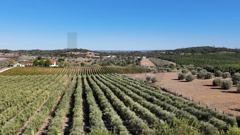 Moradia T5 para Venda em São Vicente do Paul e Vale de Figueira