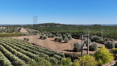 Moradia T5 para Venda em São Vicente do Paul e Vale de Figueira