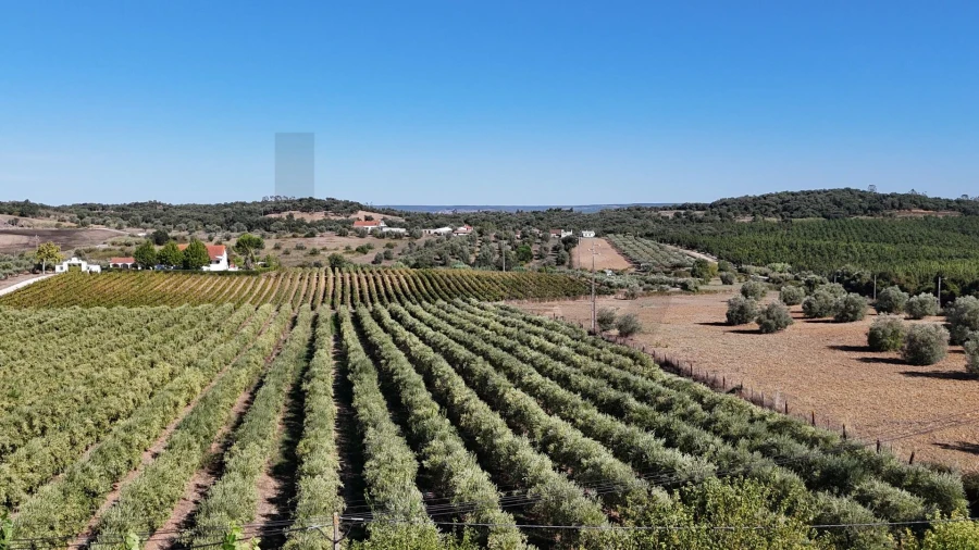 Moradia T5 para Venda em São Vicente do Paul e Vale de Figueira Foto 81