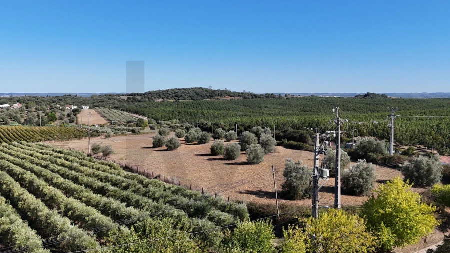 Moradia T5 para Venda em São Vicente do Paul e Vale de Figueira Foto 80