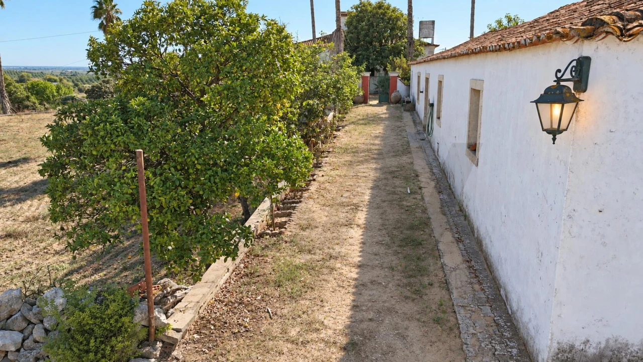 Moradia T5 para Venda em São Vicente do Paul e Vale de Figueira Foto 77