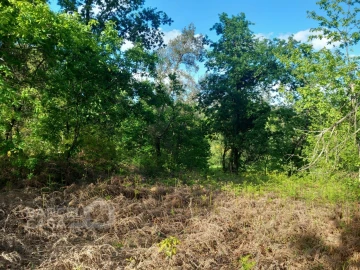 Terreno para Venda em Associação de Freguesias do Vale do Neiva