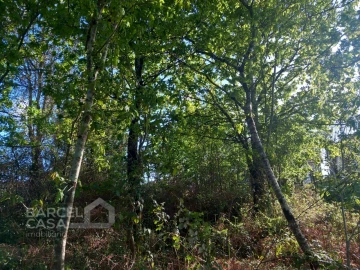 Terreno para Venda em Associação de Freguesias do Vale do Neiva