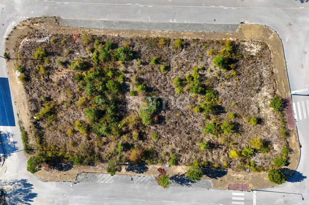 Terreno para Venda em Cernache Foto 3