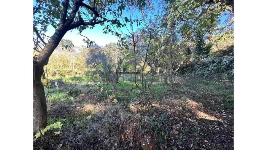 Quinta T2 para Arrendamento em Colos Foto 13