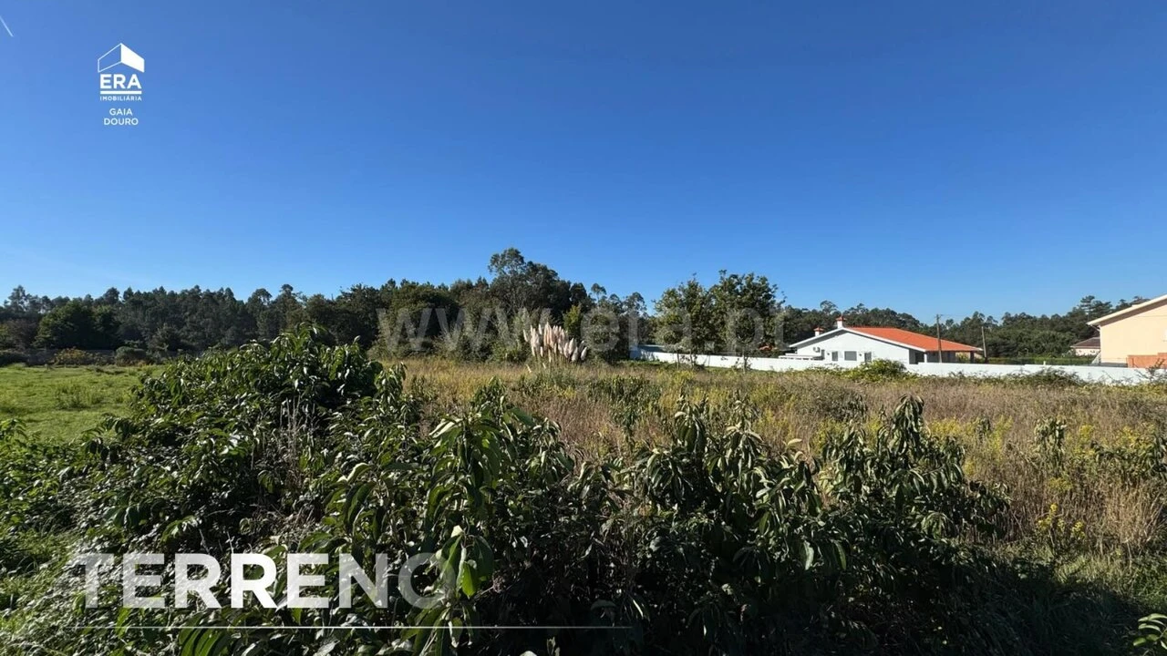 Terreno para Venda em São João de Ver Foto 17