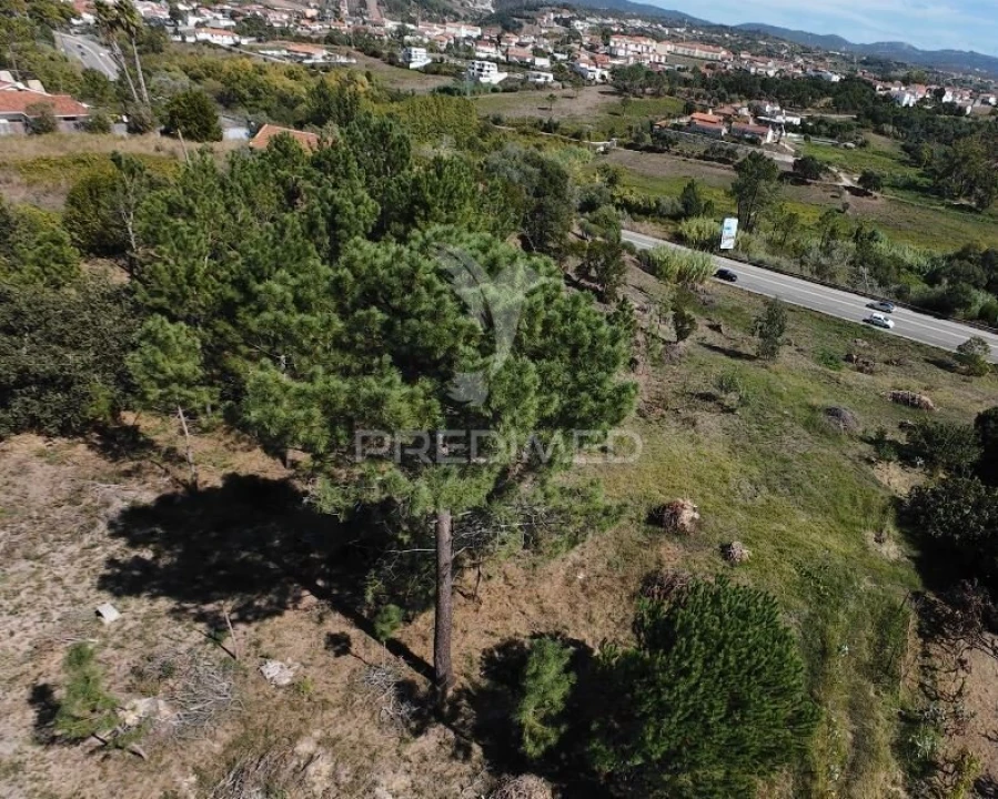 Terreno para Venda em Batalha Foto 7