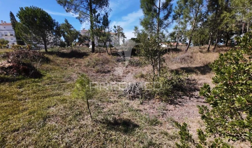 Terreno para Venda em Batalha Foto 5
