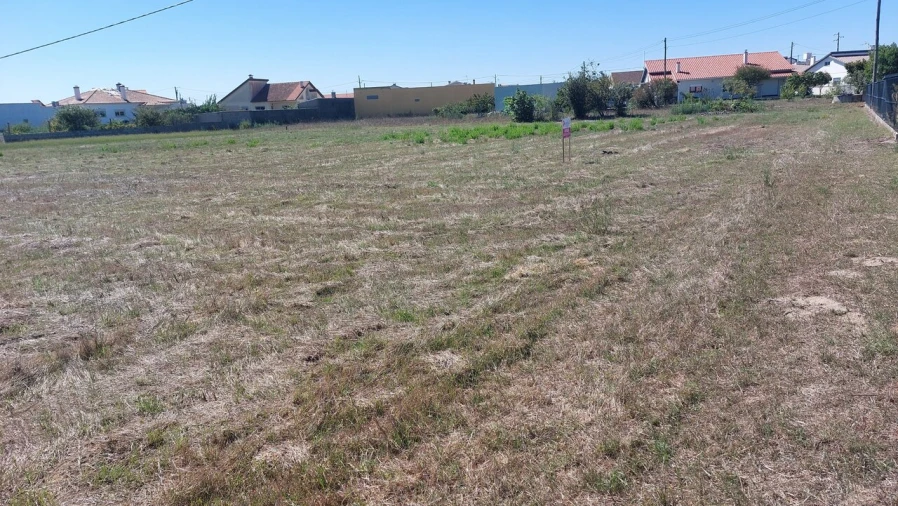 Terreno para Venda em Monte Real e Carvide Foto 4