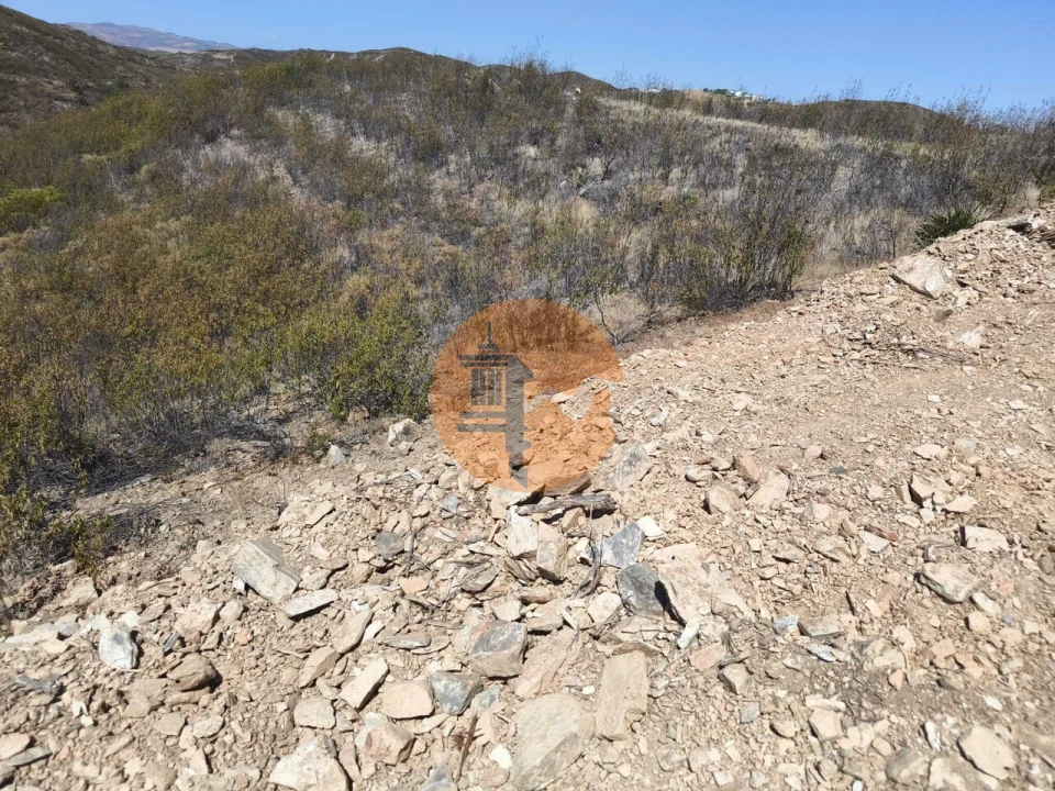 Terreno para Venda em Tavira (Santa Maria e Santiago) Foto 17