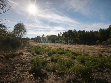 Terreno para Venda em Orca