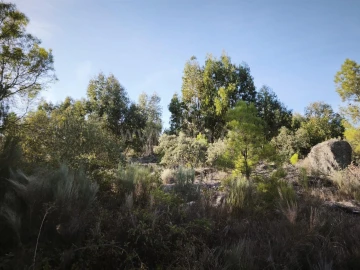 Terreno para Venda em Orca