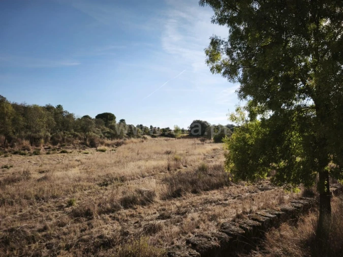 Terreno para Venda em Orca Foto 10