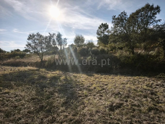 Terreno para Venda em Orca Foto 5