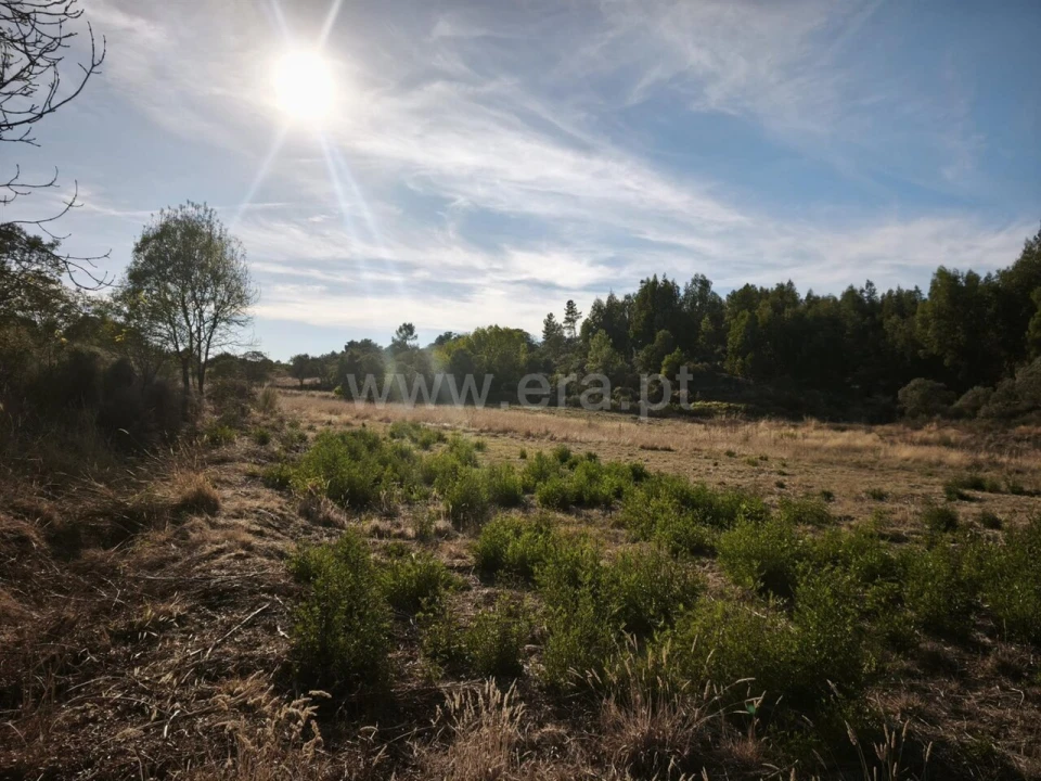 Terreno para Venda em Orca Foto 8