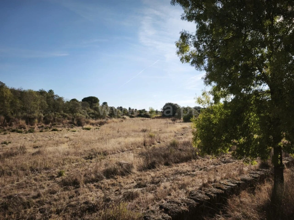 Terreno para Venda em Orca Foto 10