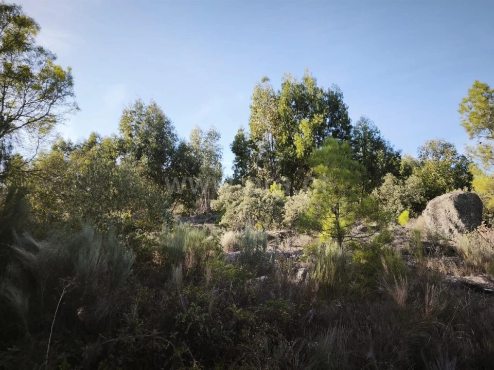 Terreno para Venda em Orca Foto 2