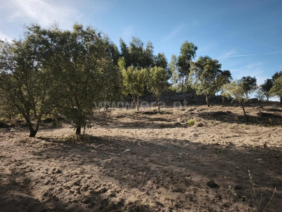 Terreno para Venda em Orca Foto 6