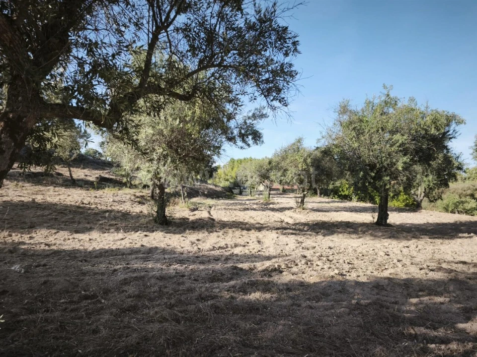Terreno para Venda em Orca Foto 7