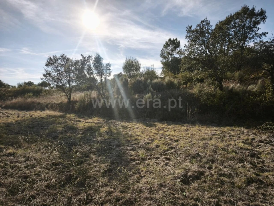 Terreno para Venda em Orca Foto 5