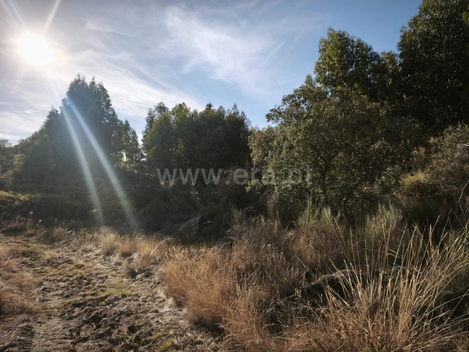 Terreno para Venda em Orca Foto 4