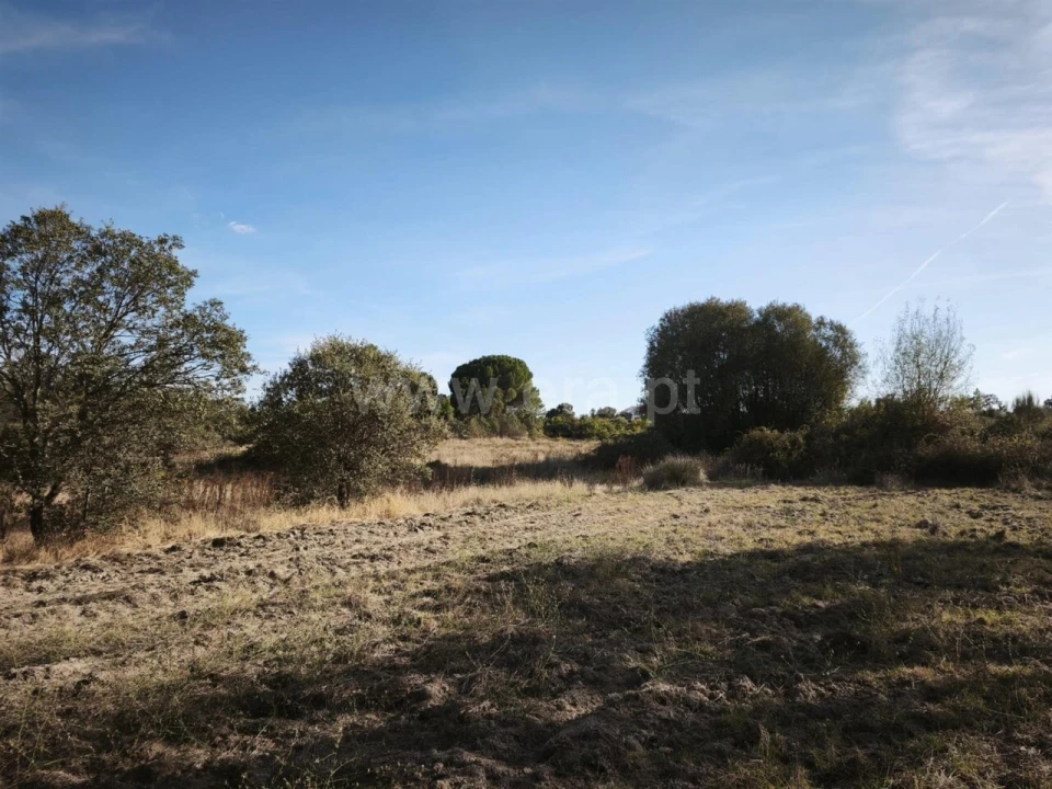 Terreno para Venda em Orca Foto 1