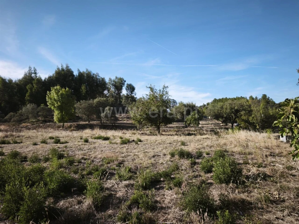 Terreno para Venda em Orca Foto 9