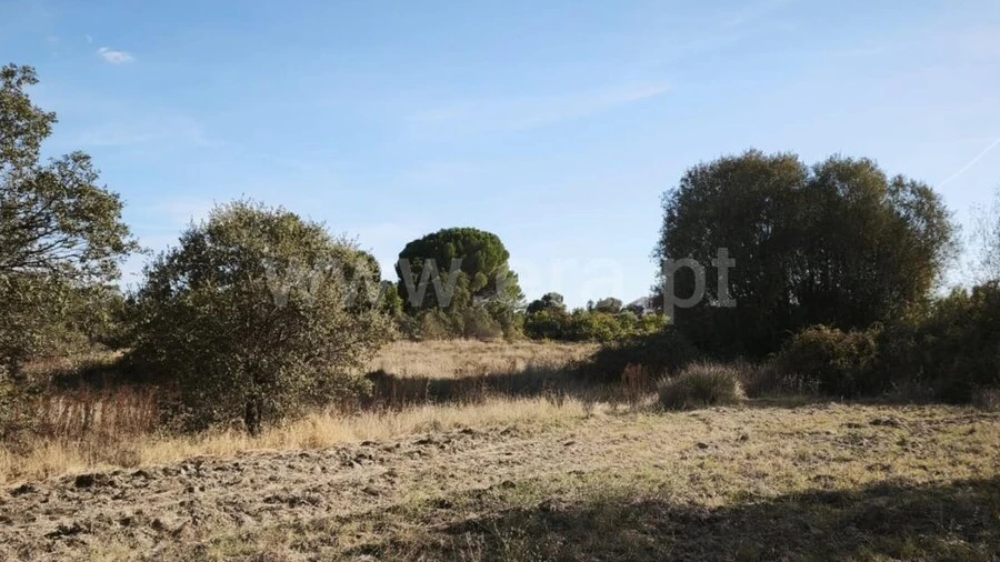 Terreno para Venda em Orca