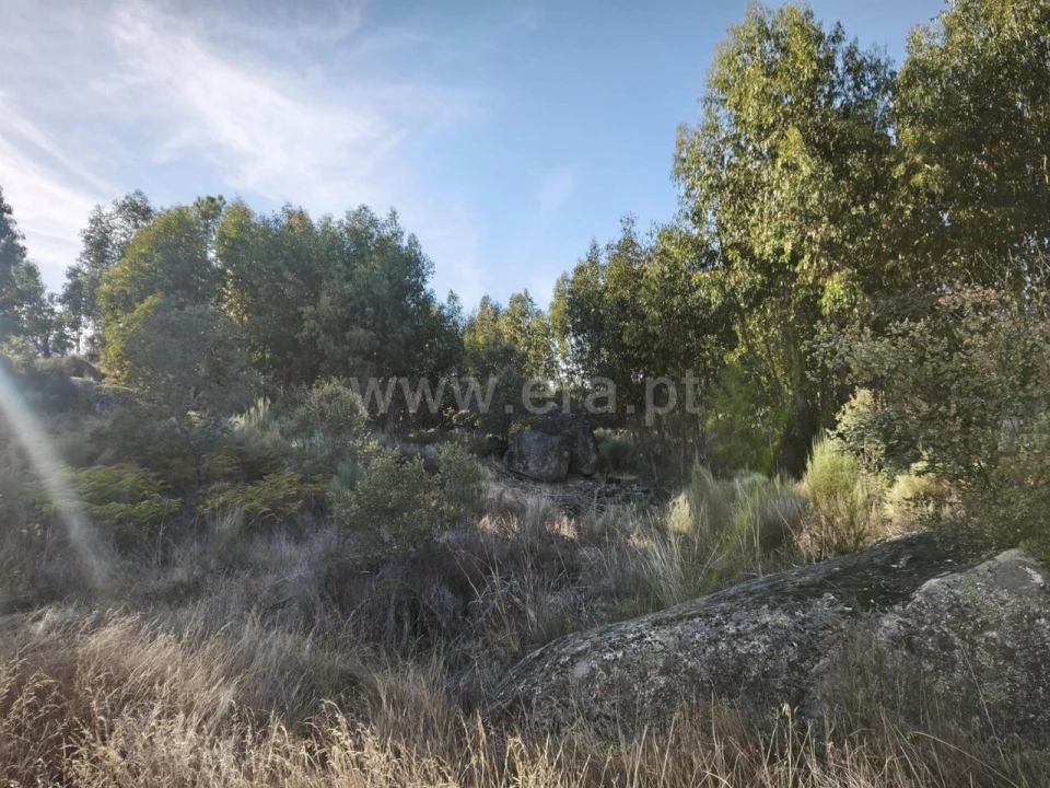 Terreno para Venda em Orca Foto 3