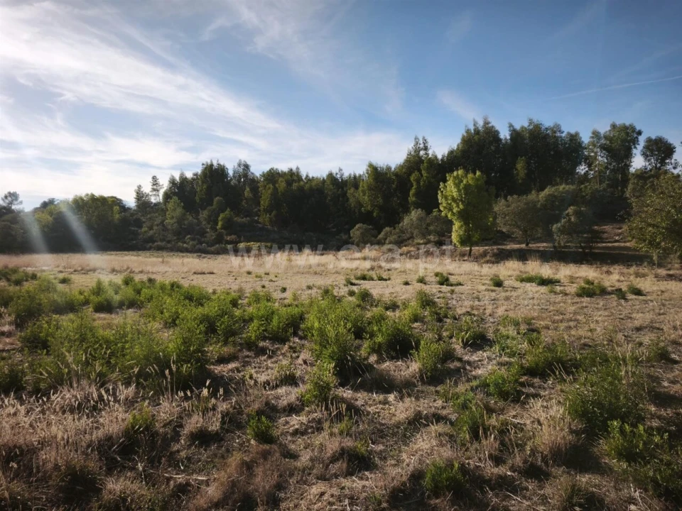 Terreno para Venda em Orca Foto 11