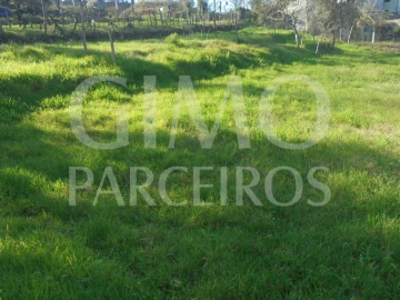 Terreno para Venda em Recardães e Espinhel