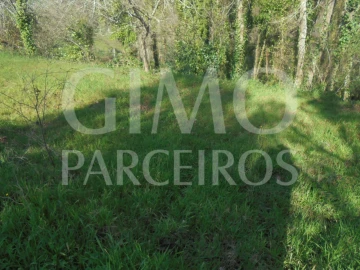 Terreno para Venda em Recardães e Espinhel