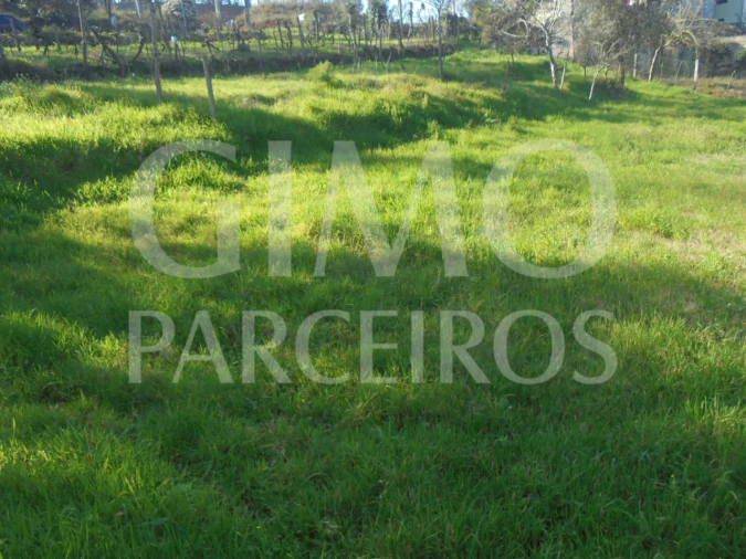 Terreno para Venda em Recardães e Espinhel Foto 4