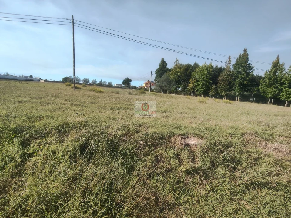 Terreno para Venda em Covões e Camarneira Foto 4